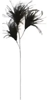 Light & Living ornament veren feather 40x1x78cm zwart - afbeelding 1