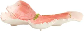 Light & Living schaal keramiek butterfly 21x16x3cm roze - afbeelding 1