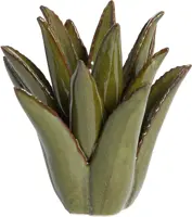 Light & Living theelichthouder keramiek cactus 21x21cm donkergroen - afbeelding 1