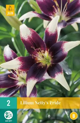 Lilium nettys pride 2 stuks - afbeelding 1