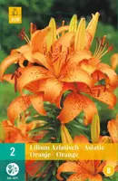 Lilium oranje 2 stuks - afbeelding 1