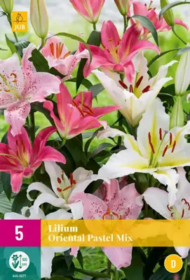 Lilium oriental pastel mix 5 stuks - afbeelding 1