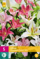 Lilium oriental pastel mix 5 stuks - afbeelding 1