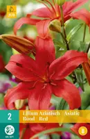 Lilium rood 2 stuks - afbeelding 1