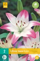 Lilium sugar love 2 stuks - afbeelding 1