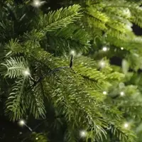 Lumineo kerstverlichting LED Basic Lights 80 lampjes 6m, warm wit - afbeelding 5