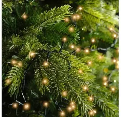 Lumineo kerstverlichting LED Compact Lights 34m, classic warm - afbeelding 4