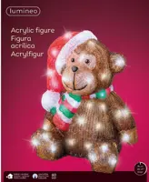 Lumineo LED kerstfiguur acryl aap 60 lampjes - afbeelding 2