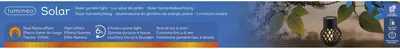 Lumineo solar hanglamp vlameffect - meerkleurig - afbeelding 4