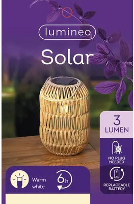 Lumineo Solar lantaarn ijzer 24,5 x 16 cm naturel - afbeelding 5