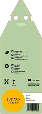 Lupinus Gallery Blue (Lupine) - afbeelding 2