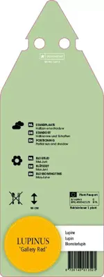 Lupinus Gallery Red (Lupine) - afbeelding 2