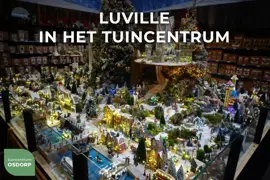 Luville Around the world Dom tower - afbeelding 3