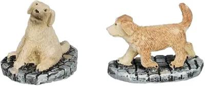 Luville General Golden retriever pups - afbeelding 1