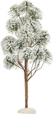 Luville General Mountain pine - afbeelding 1