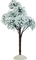 Luville General Mountain pine