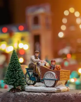 Luville Molendam Cargo bike family - afbeelding 4