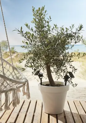 Luxform Solar spotlight Zamora 10 lumen - afbeelding 2