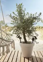 Luxform Solar spotlight Zamora 10 lumen - afbeelding 2