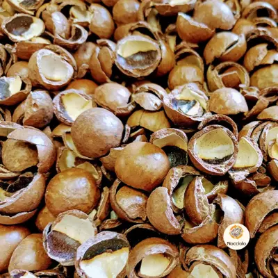 Macadamia doppen 20 liter - afbeelding 1