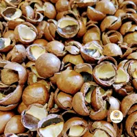 Macadamia doppen 20 liter - afbeelding 1