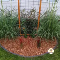 Macadamia doppen 20 liter - afbeelding 3