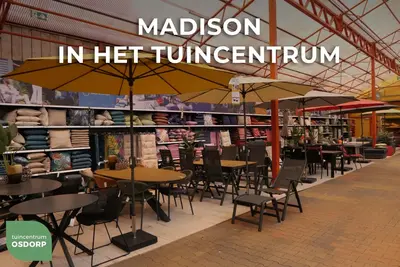 Madison parasol syros 280x280 cm l.grijs - afbeelding 4