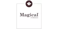 Magical Hydrangea