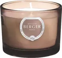 Maison Berger Paris duoset joy garden of agaves - afbeelding 4