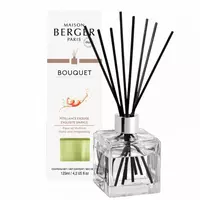 Maison Berger Paris parfumverspreider cube exquisite sparkle 125 ml kopen?