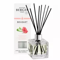 Maison Berger Paris parfumverspreider cube hibiscus love 125 ml kopen?