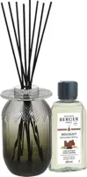 Maison Berger Paris parfumverspreider evanescence gris mystic leather 200 ml