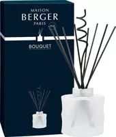Maison Berger Paris parfumverspreider spirale givré kopen?