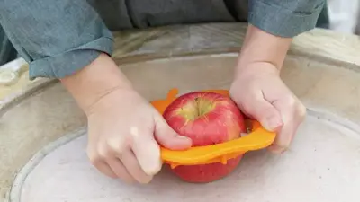 Malus domestica 'Cox’s Orange' (Appel) fruitplant 160cm - afbeelding 5
