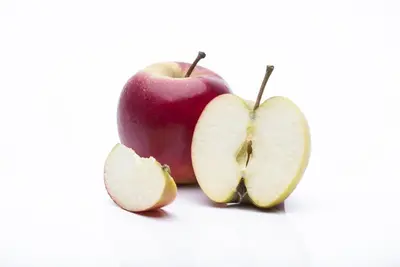 Malus domestica 'Elstar' (Appel) fruitplant 160cm - afbeelding 8