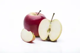 Malus domestica 'Elstar' (Appel) fruitplant 160cm - afbeelding 8
