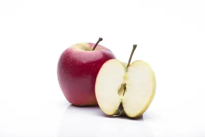 Malus domestica 'Elstar' (Appel) fruitplant 160cm - afbeelding 9