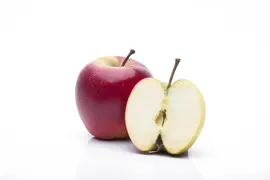 Malus domestica 'Elstar' (Appel) fruitplant 160cm - afbeelding 9