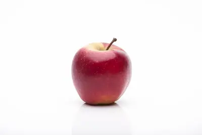 Malus domestica 'Elstar' (Appel) fruitplant 160cm - afbeelding 10