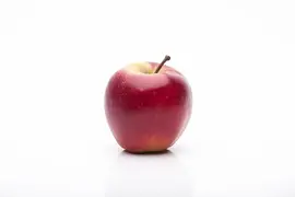 Malus domestica 'Elstar' (Appel) fruitplant 160cm - afbeelding 10