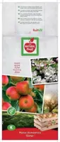 Malus domestica 'Elstar' (Appel) fruitplant 160cm - afbeelding 4