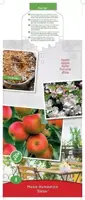 Malus domestica 'Elstar' (Appel) fruitplant 90cm - afbeelding 4
