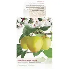 Malus domestica 'Golden Delicious' (Appel) fruitplant 230cm - afbeelding 2