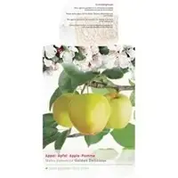 Malus domestica 'Golden Delicious' (Appel) fruitplant 230cm - afbeelding 2