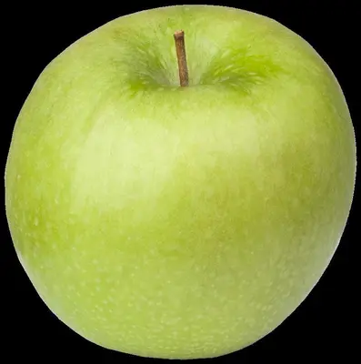 Malus domestica 'Granny Smith' (Appel) fruitplant 160cm - afbeelding 4
