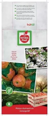 Malus domestica 'Jonagold' (Appel) fruitplant 160cm - afbeelding 4