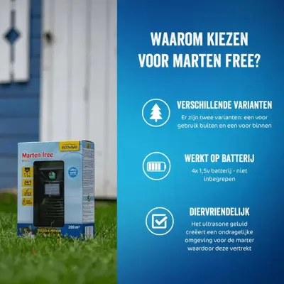 Marten free 50m2 - afbeelding 3