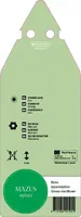Mazus Reptans () - afbeelding 2