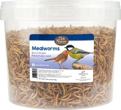 Meelwormen 700g