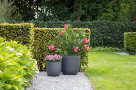 Mega Collections Bloempot Clayfibre Egg Pot Anthracite – Ø39 x H38 cm – Zwart - afbeelding 2